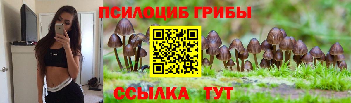 Псилоцибиновые грибы прущие грибы Вятские Поляны